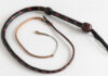 Bullwhip bicolor